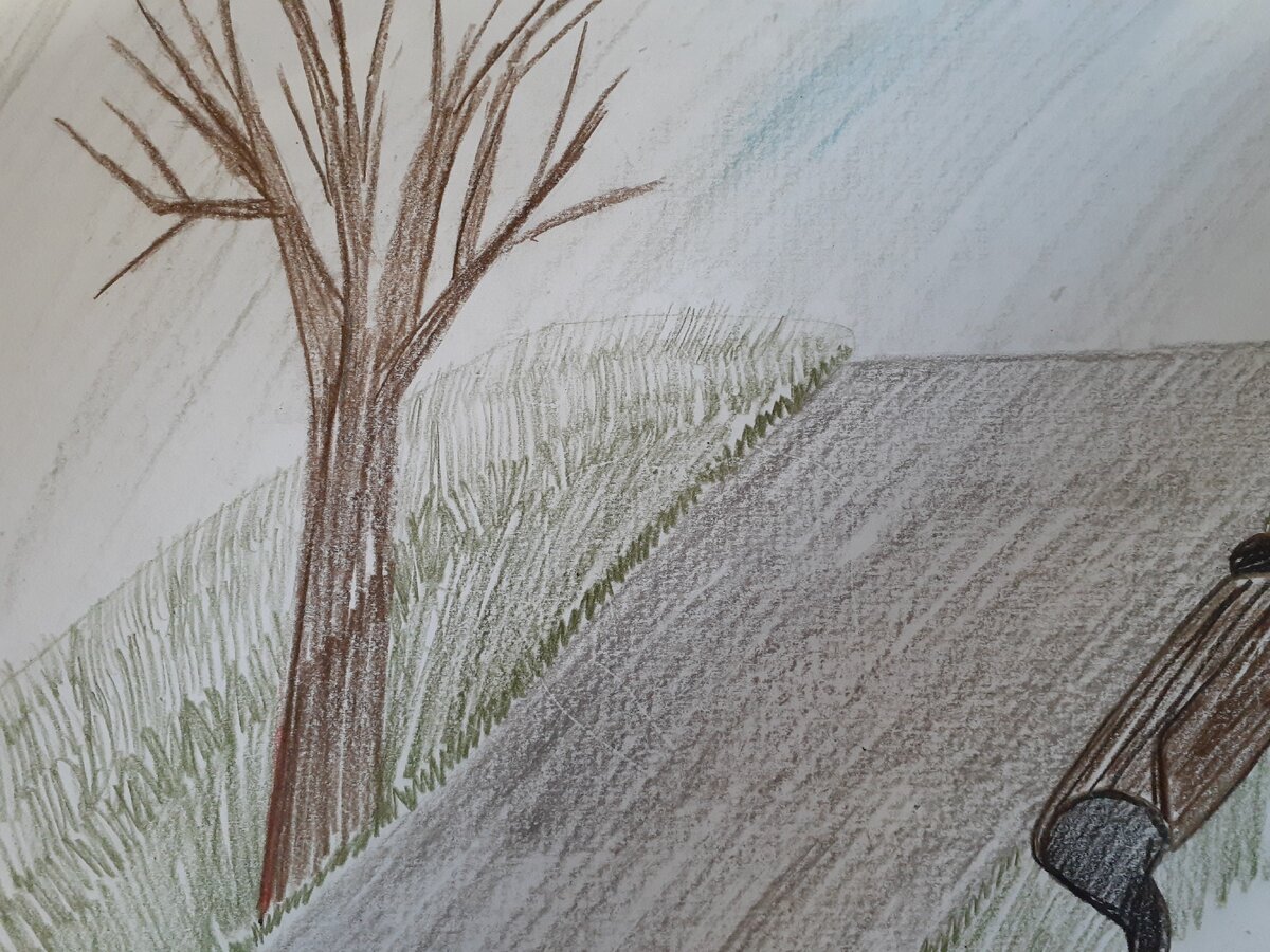 (авторский рисунок)