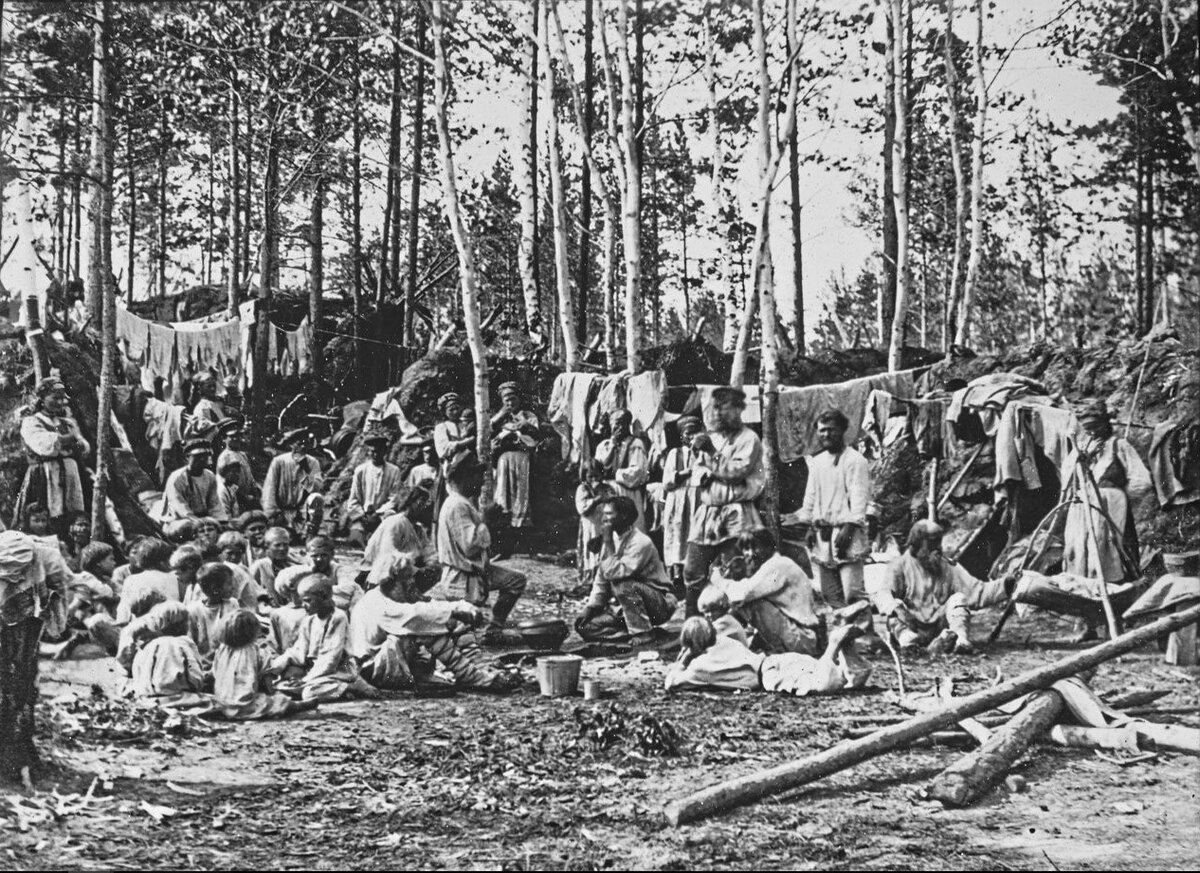 Яндек картинки.                                                                                               