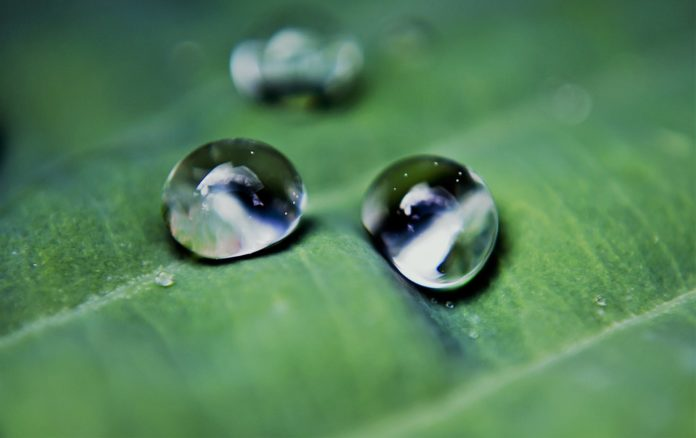 Фотография капель дождя крупным планом 