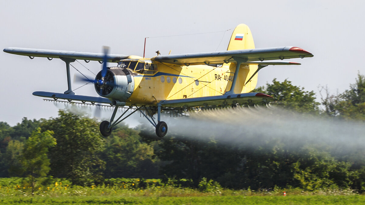 Ан-2 альянса "Аэрохимфлот"