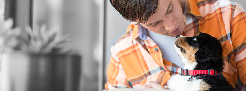 Хозяин обнимает щенка