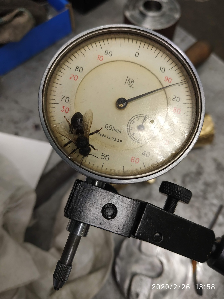 Пчелы во всю работают.