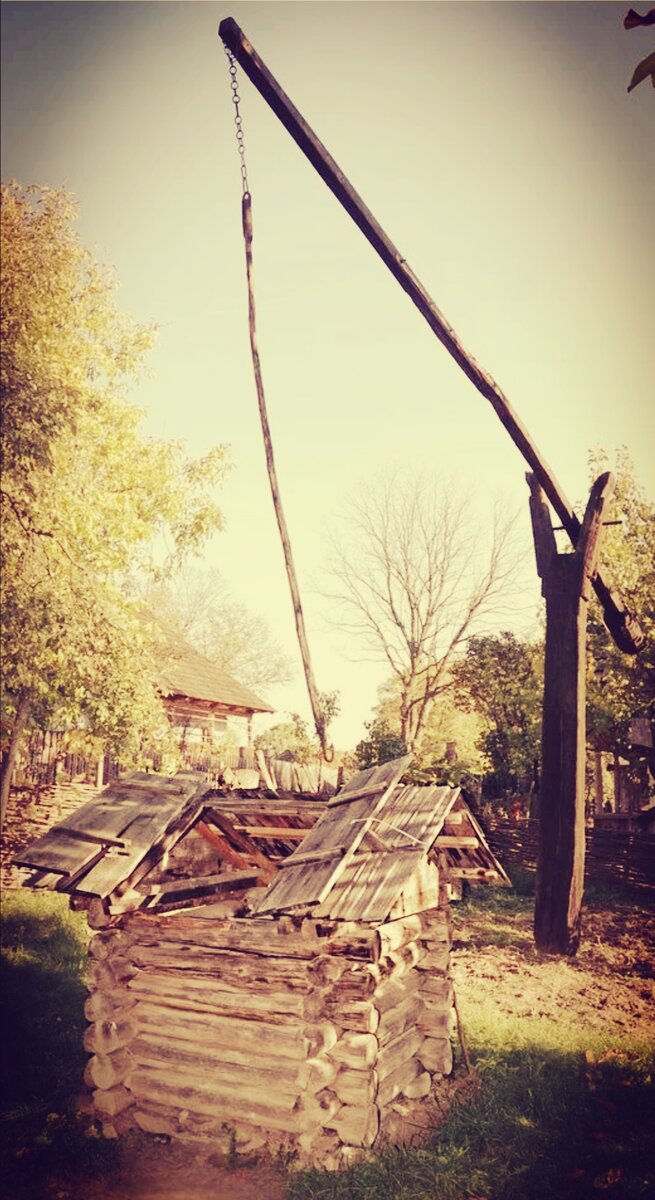 Фото из открытых источников 