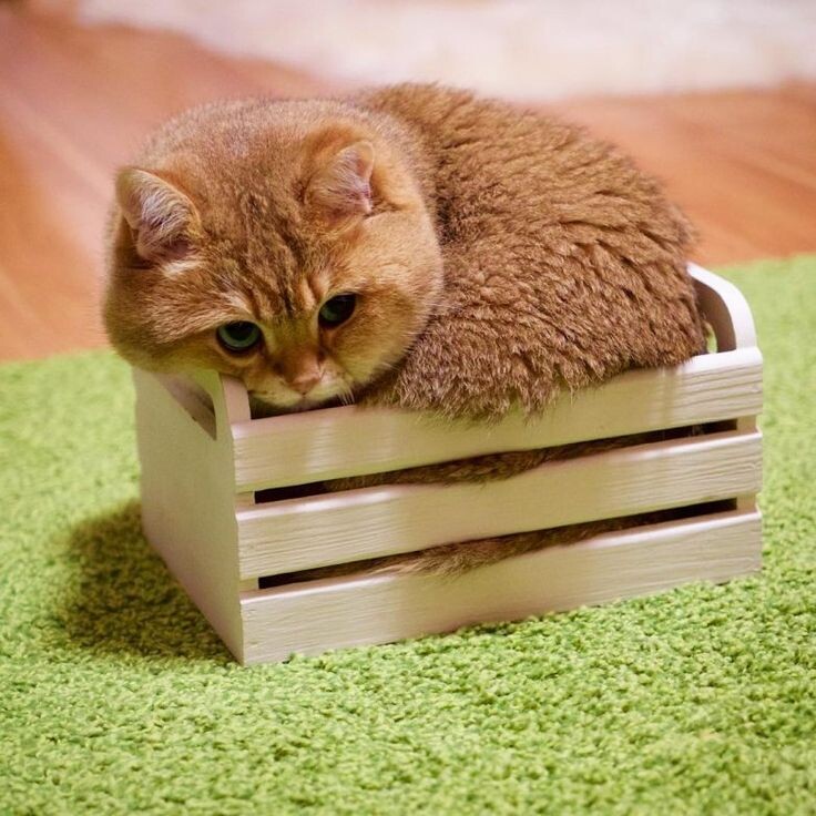 Источник: Pinterest