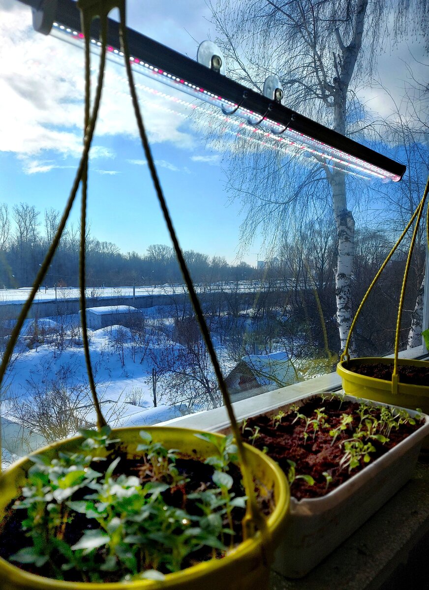 линейная лампа (фото автора канала)