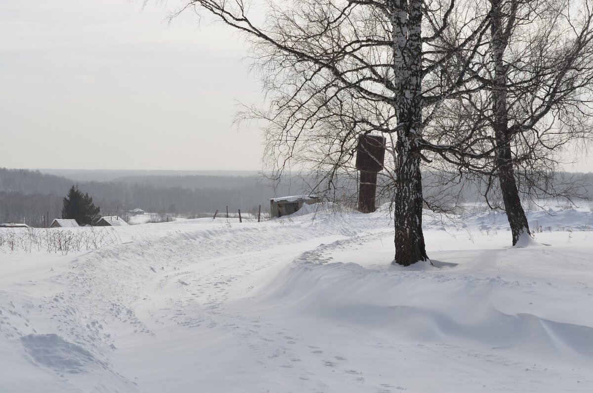 Солнышке в дымке. Фото автора
