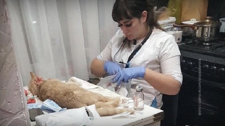 Операции на дому.