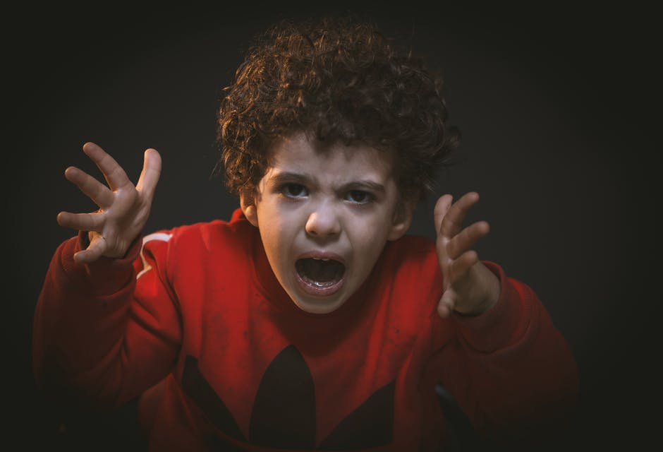 Фото https://www.pexels.com/photo/toddler-with-red-adidas-sweat-shirt-783941/