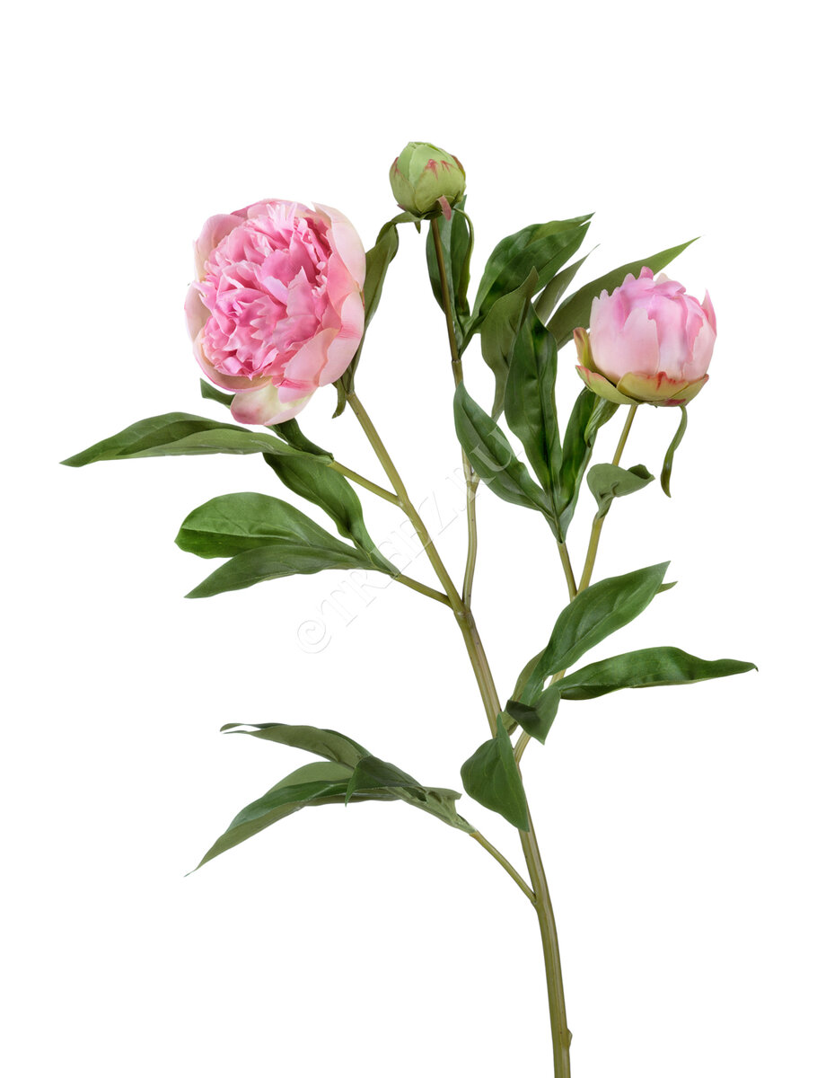 Искусственные пионы Treez Collection