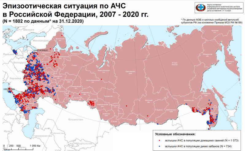 Эпизоотическая ситуация по АЧС в Российской Федерации  