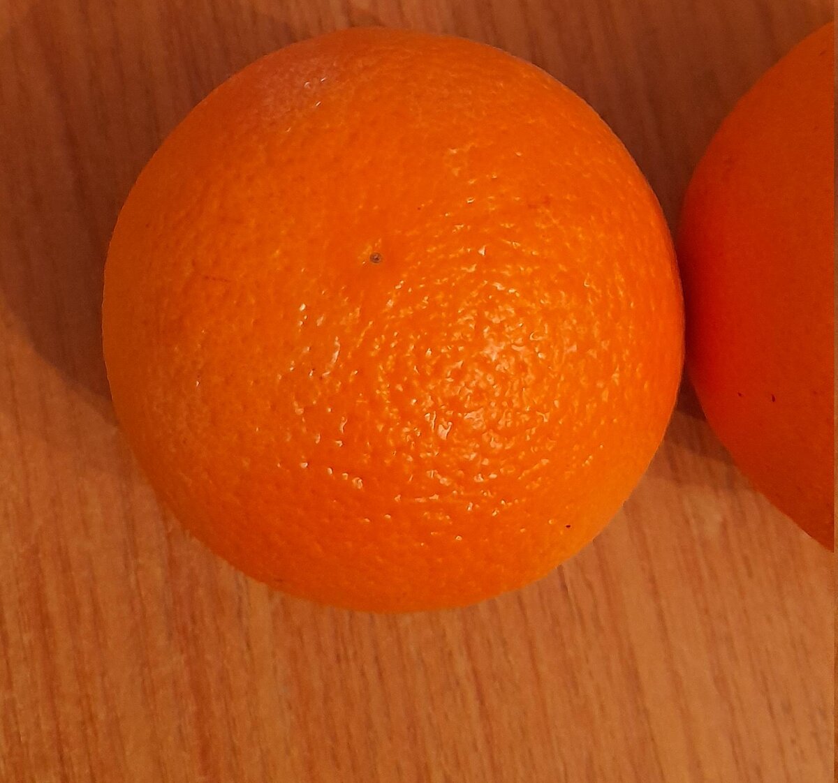 фото  автора