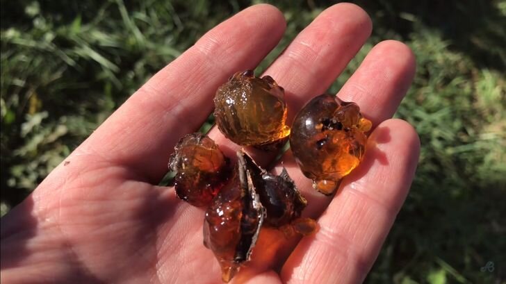 Фото взято из открытых источников.