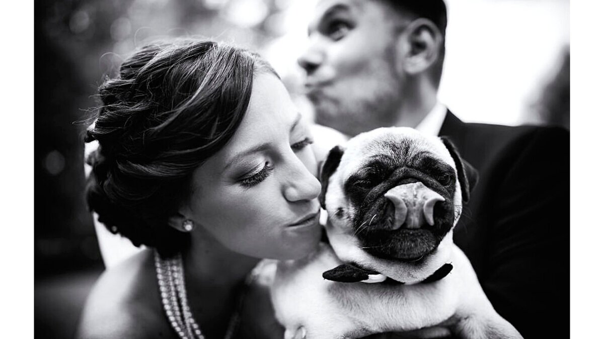 worldsbestweddingphotos.com