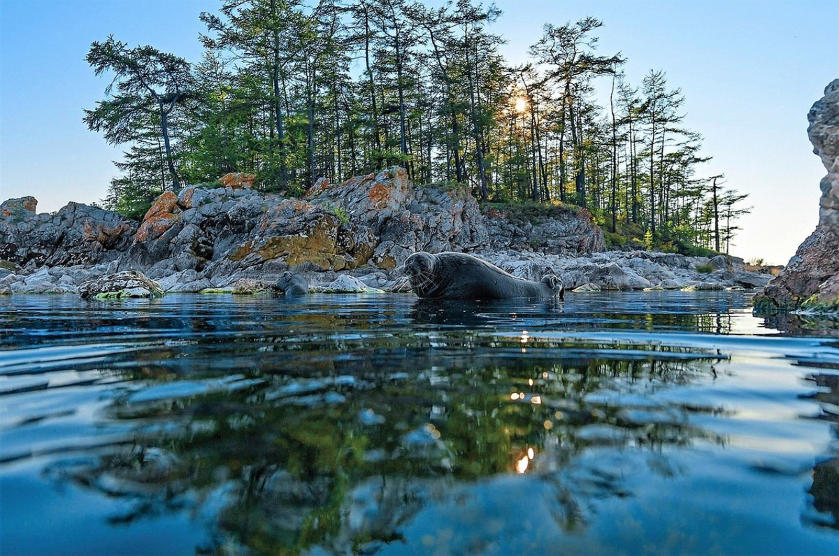 байкал ушканьи острова