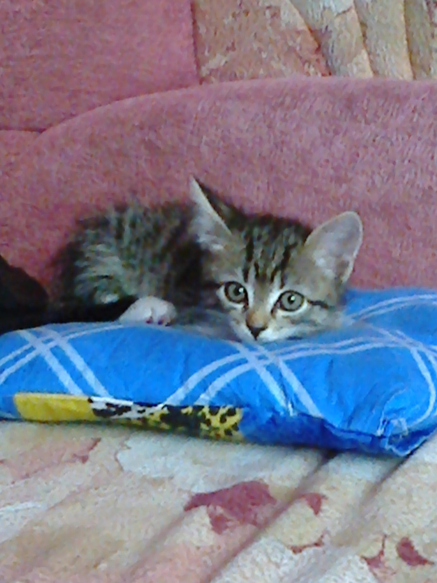 Это я в детстве 