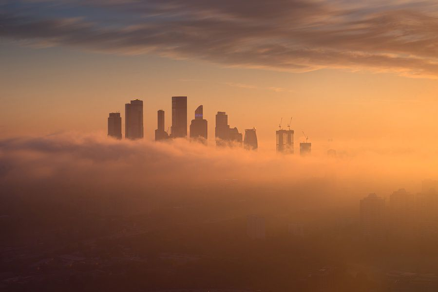 KudaGo, "Рассветомания"