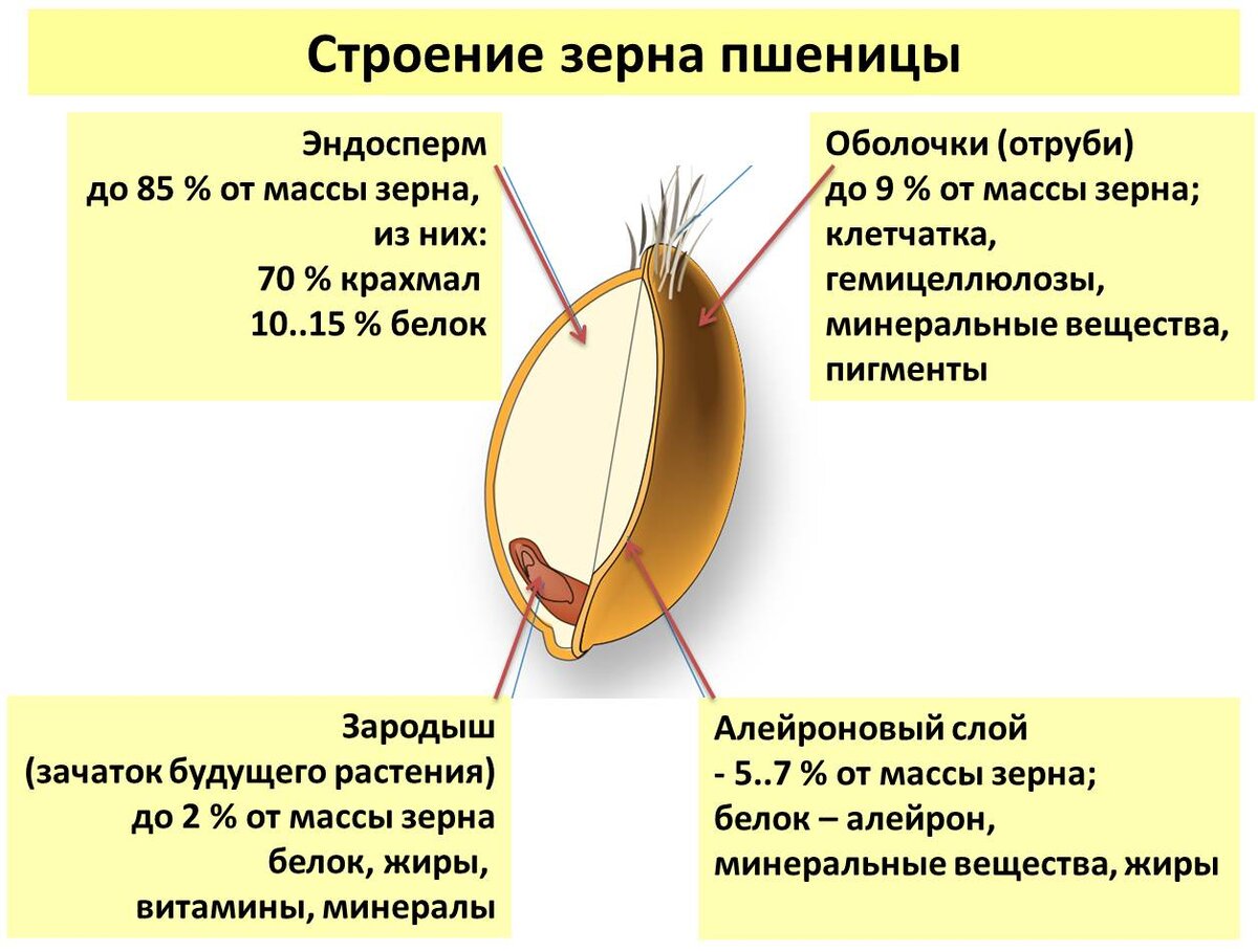 Коллаж автора