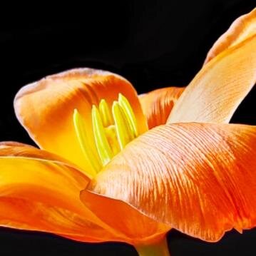 …и рассмотреть вблизи крошечные объекты