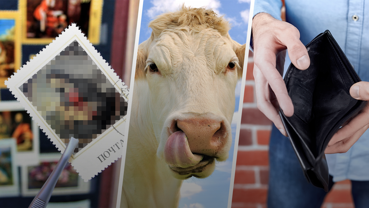 Источники фото: РИА "Новости", YouTube, Instagram