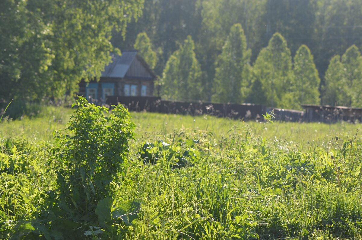 Фото автора