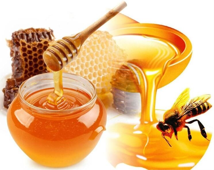 Несмотря на то, что в наше время полки магазинов заставлены всевозможными товарами, найти натуральные и безвредные для здоровья продукты — дело не простое. А ведь продукты должны быть ещё и полезными. Такая же ситуация обстоит и с мёдом. Проходит большое количество ярмарок и выставок мёда, много вариантов представлено в магазинах, продукт под названием «мёд» вовсе не является дефицитным, но найти настоящий мёд — непросто. Мёд — один из самых часто фальсифицированных продуктов. Что же такое натуральный мёд? Это нектар, собранный пчёлами с медоносных растений и переработанный ими в мёд. Пчелы при этом не должны подкармливаться сахарным сиропом. Участие пищевой промышленности исключается. В настоящее время можно купить продукт под названием «мёд», к которому никогда не прикасались пчёлы, произведённый с помощью достижений современной науки. Дело это менее хлопотное и результат производства можно спрогнозировать, но вот ждать целебных свойств от такого «мёда» не стоит. По вкусу он сильно уступает натуральному мёду. Если «суррогат» продаётся в магазине, то мелкими буквами на банке можно прочитать его состав — сахар и другие компоненты.