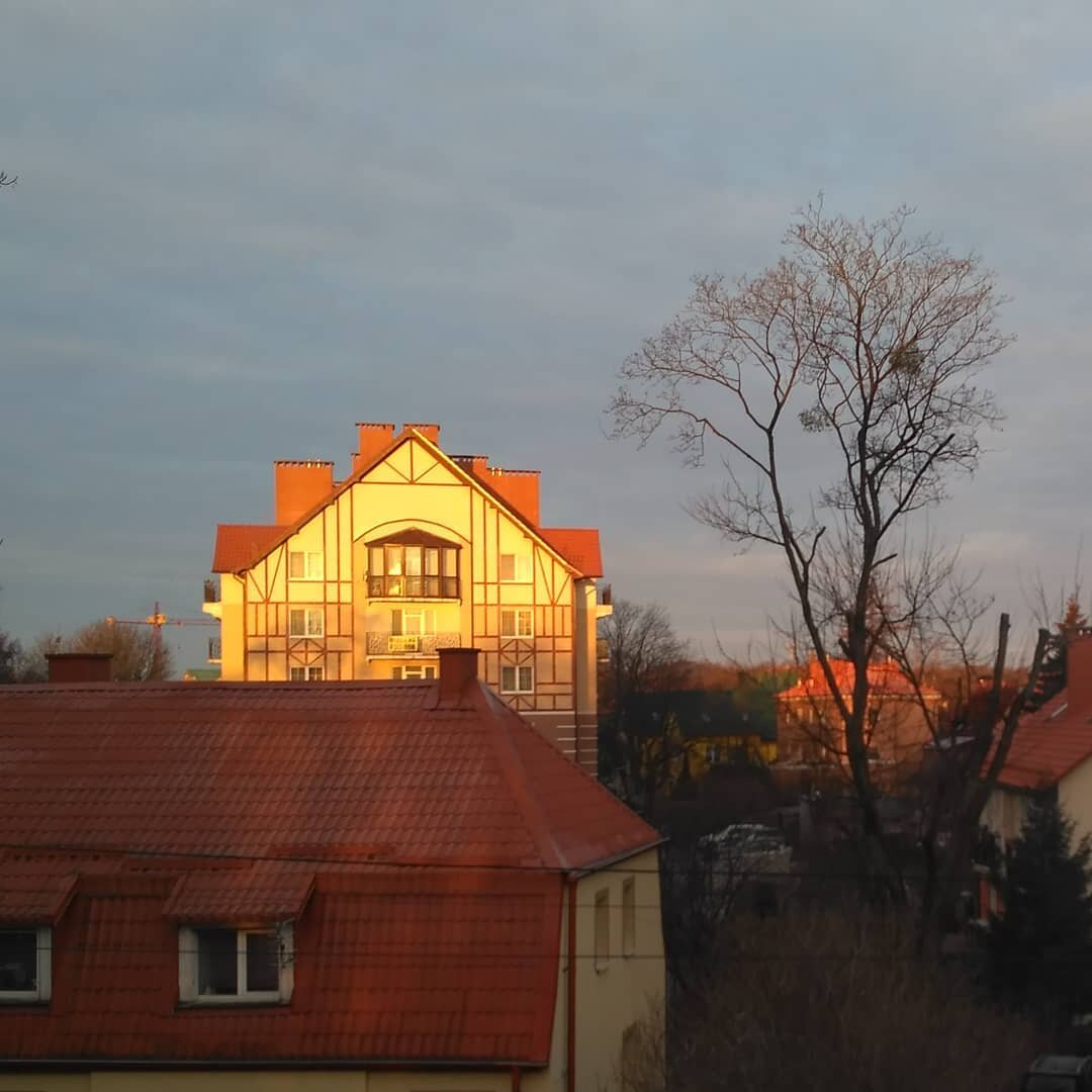 Весна в Калининграде. Мартовское утро. Фото автора