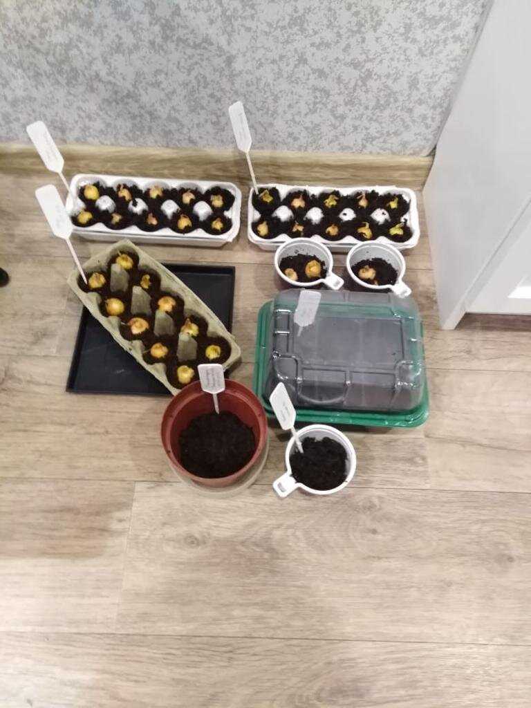Момент посадки