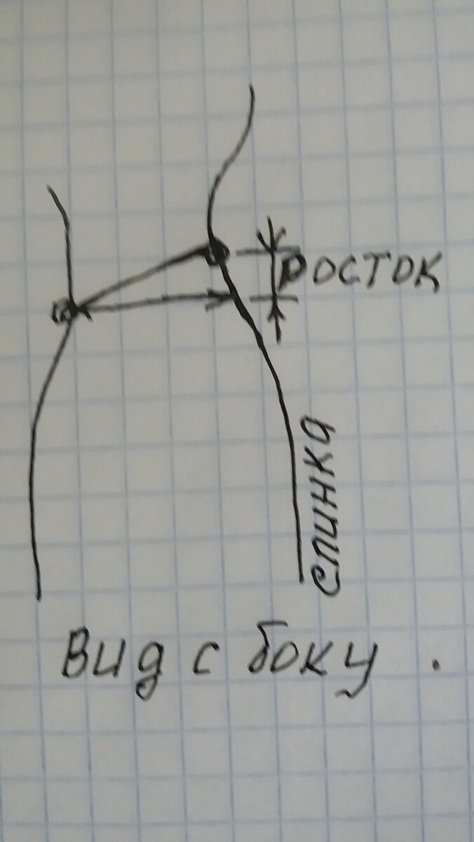 Высота ростка. Извиняюсь за художества.