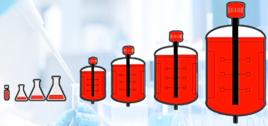 Рис. 1. Многоэтапный процесс культивирования