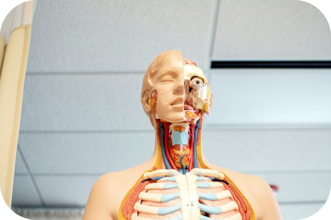 Фото из открытого источника unsplash.com