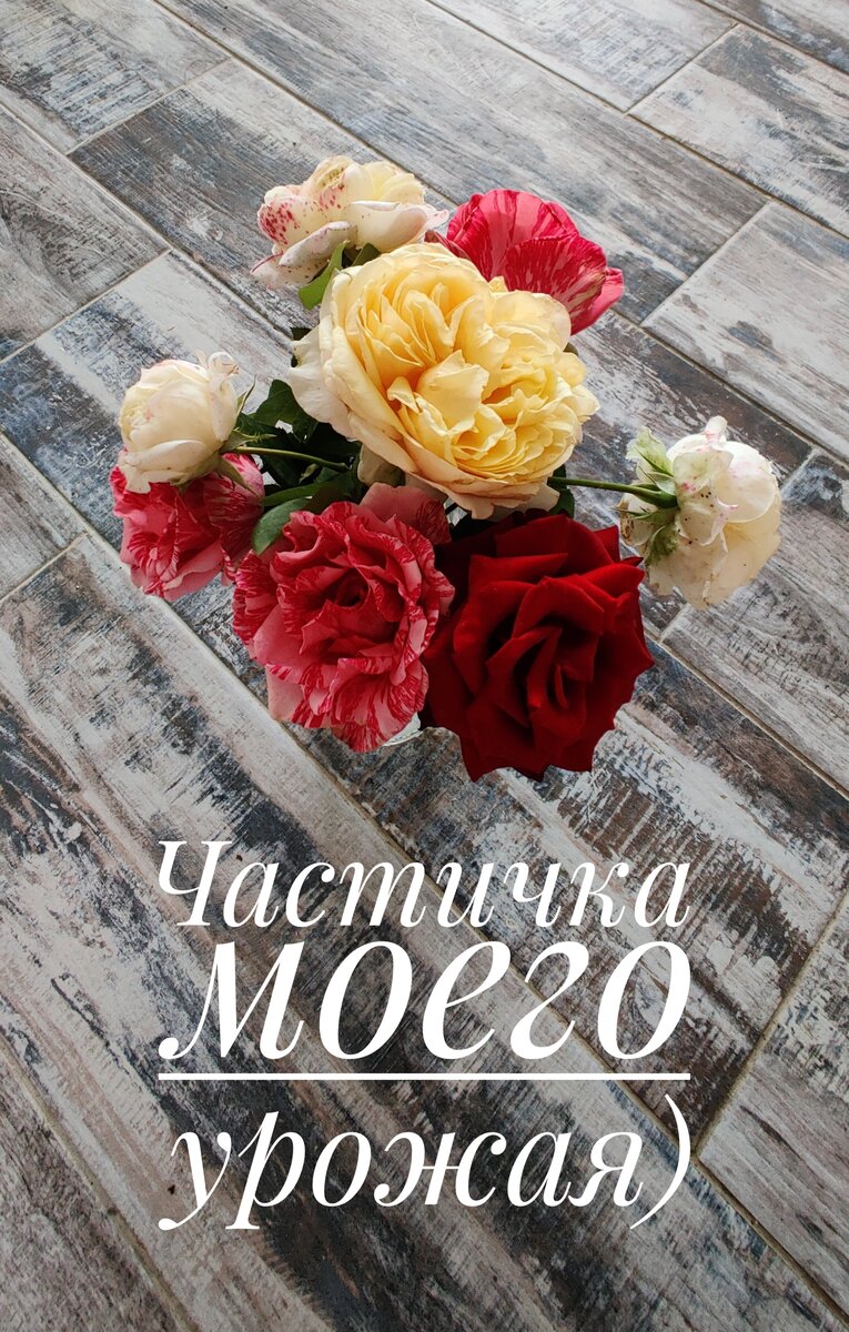 Что посеешь, то и пожнёшь... Сажаешь красоту - получаешь ее же.