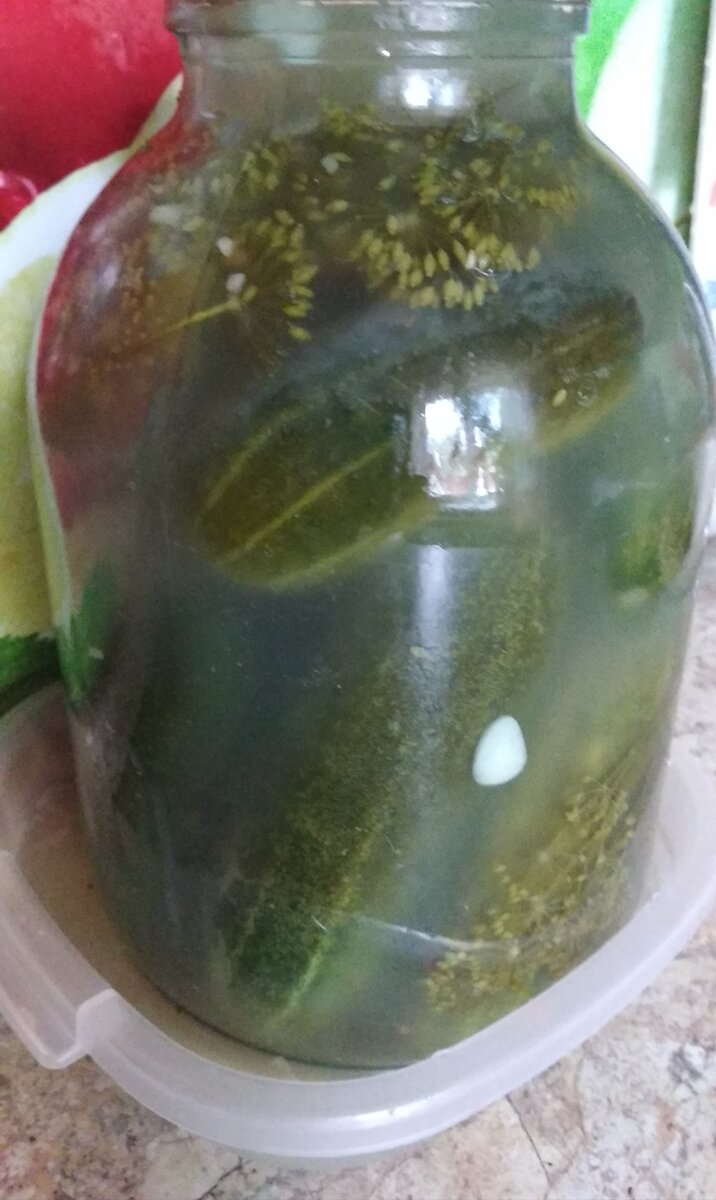 Огурцы в рассоле на 3-й день