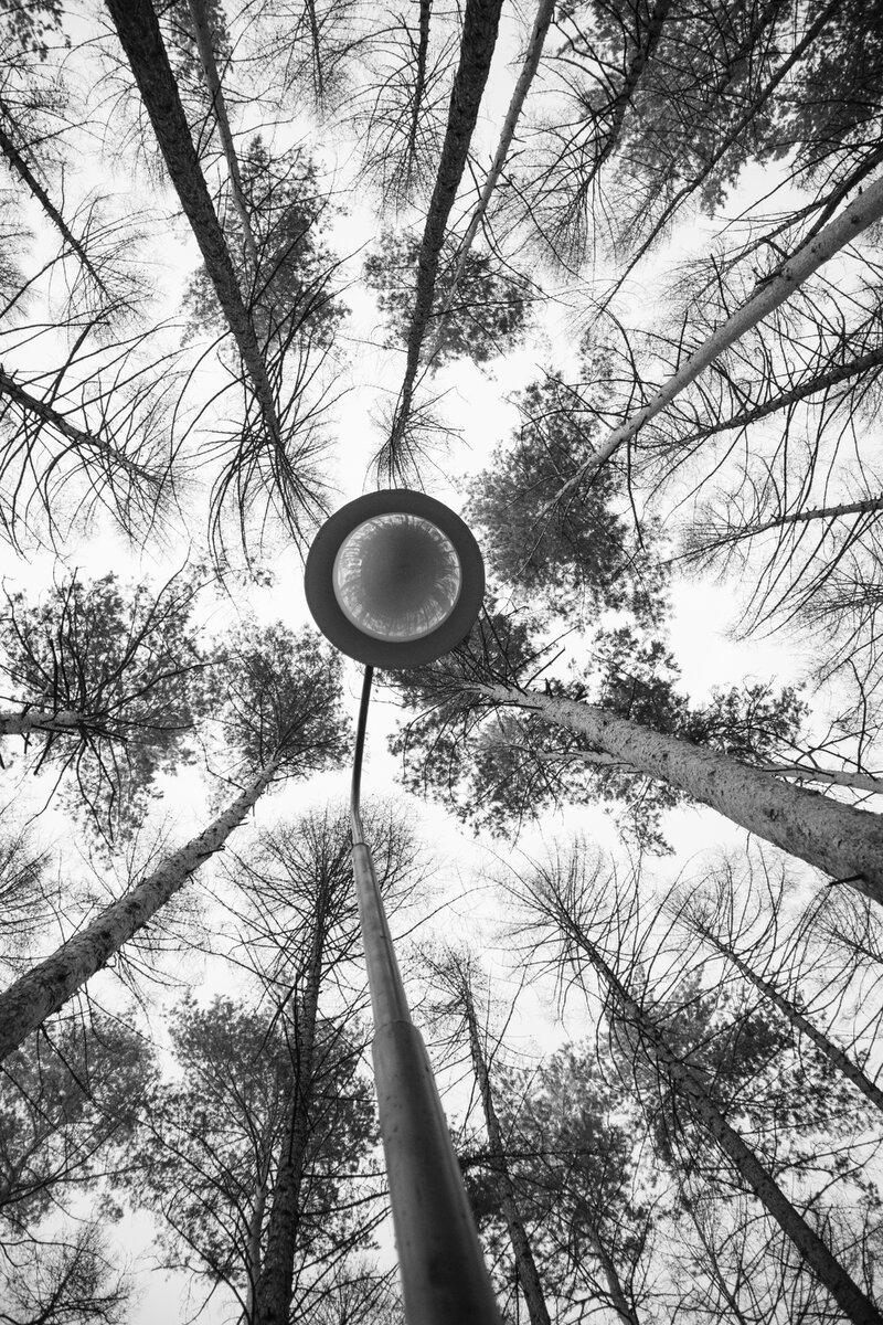 Фонарь в Парке у Президент отеля, Уфа, апрель 2021