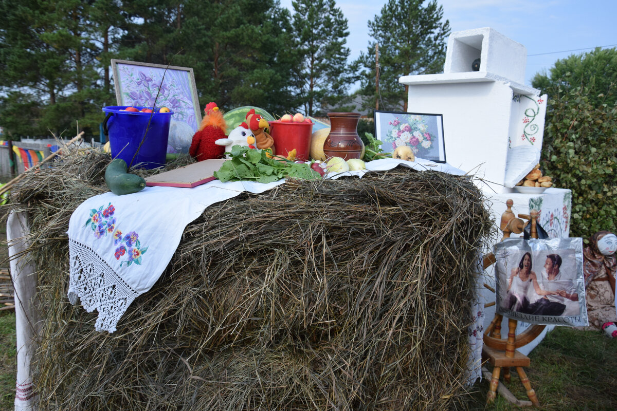 Аникинцы украсили село различной атрибутикой
