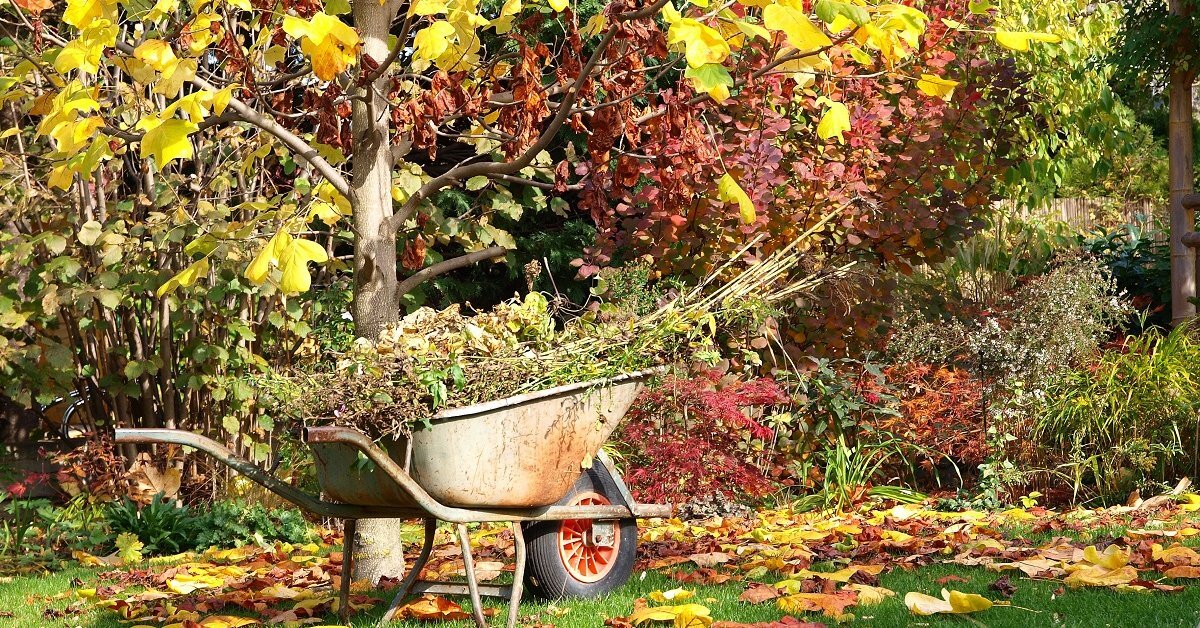 Изображение для иллюстрации, взято из открытых источников 