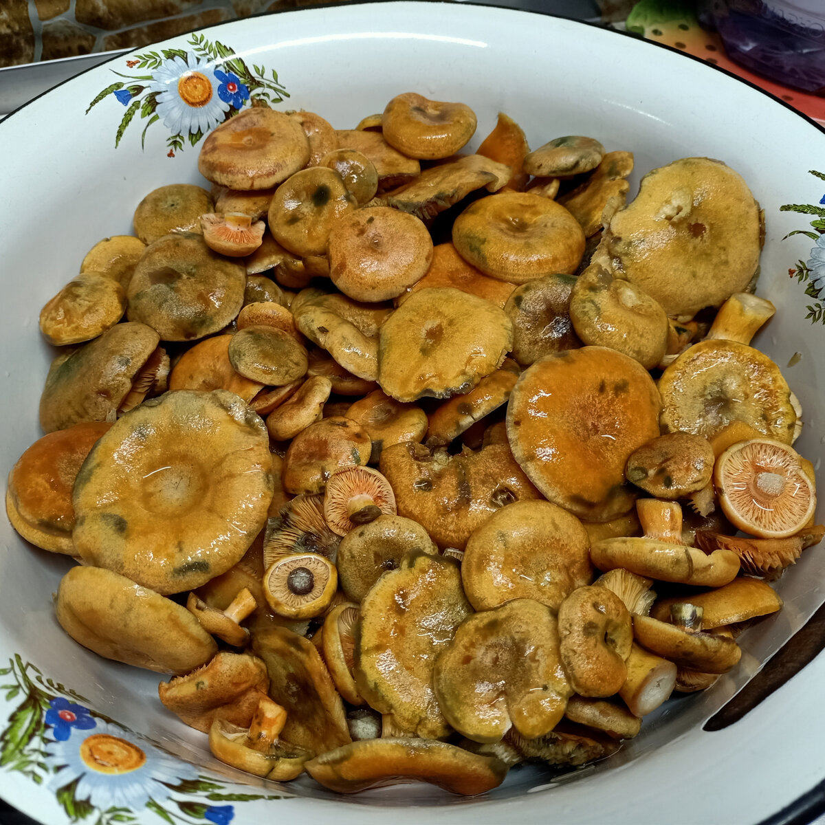 почистили и промыли