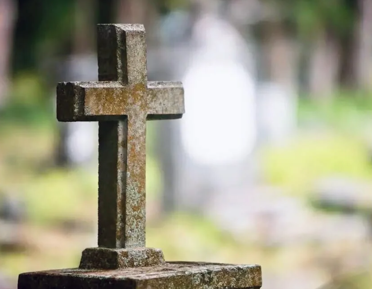 Добавьте описание