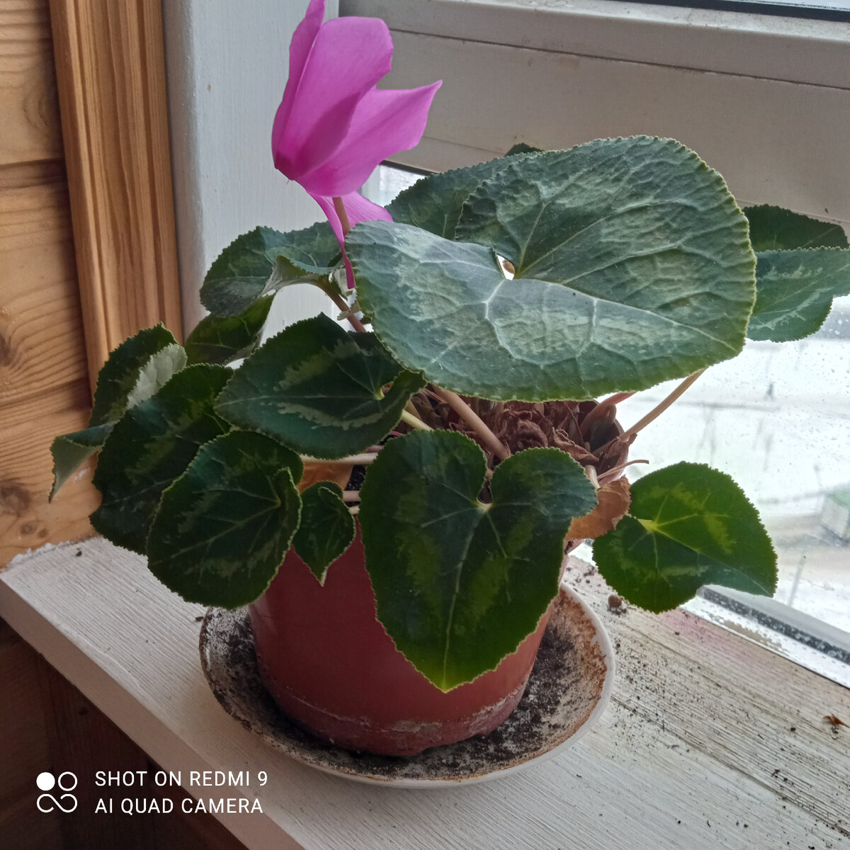 Пора наводить порядок на лоджии.