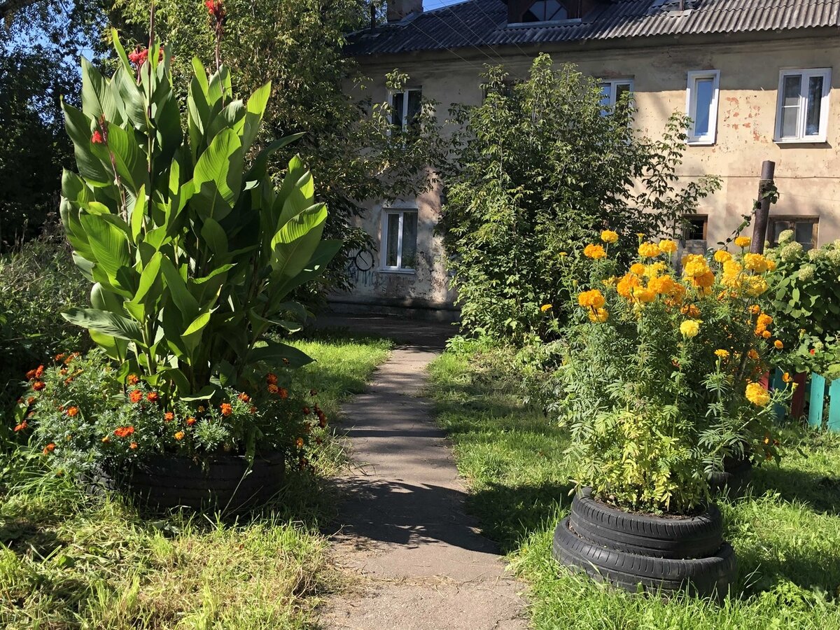 Двор, где я выросла. Это фотография много значит для меня!