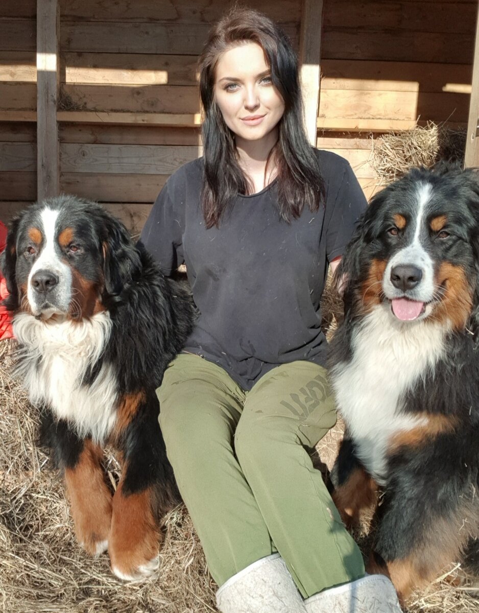 Автор и бернские зенненхунды (Кит и Зайка) 