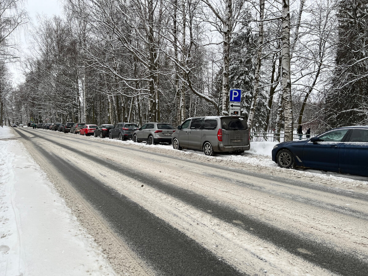 Что ожидать от покатушек в Павловском парке | OKvest - путешествия и  история | Дзен