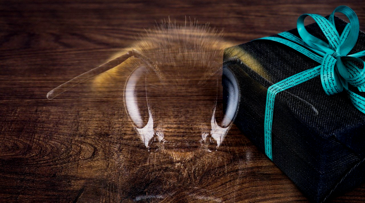 Авторский фотошоп, фото-основ с сайта pixabay.com