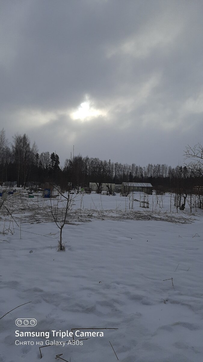 Фото автора.