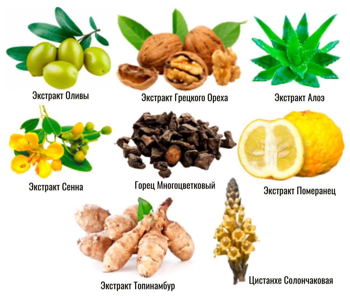 Экстракты растений для быстрого похудения