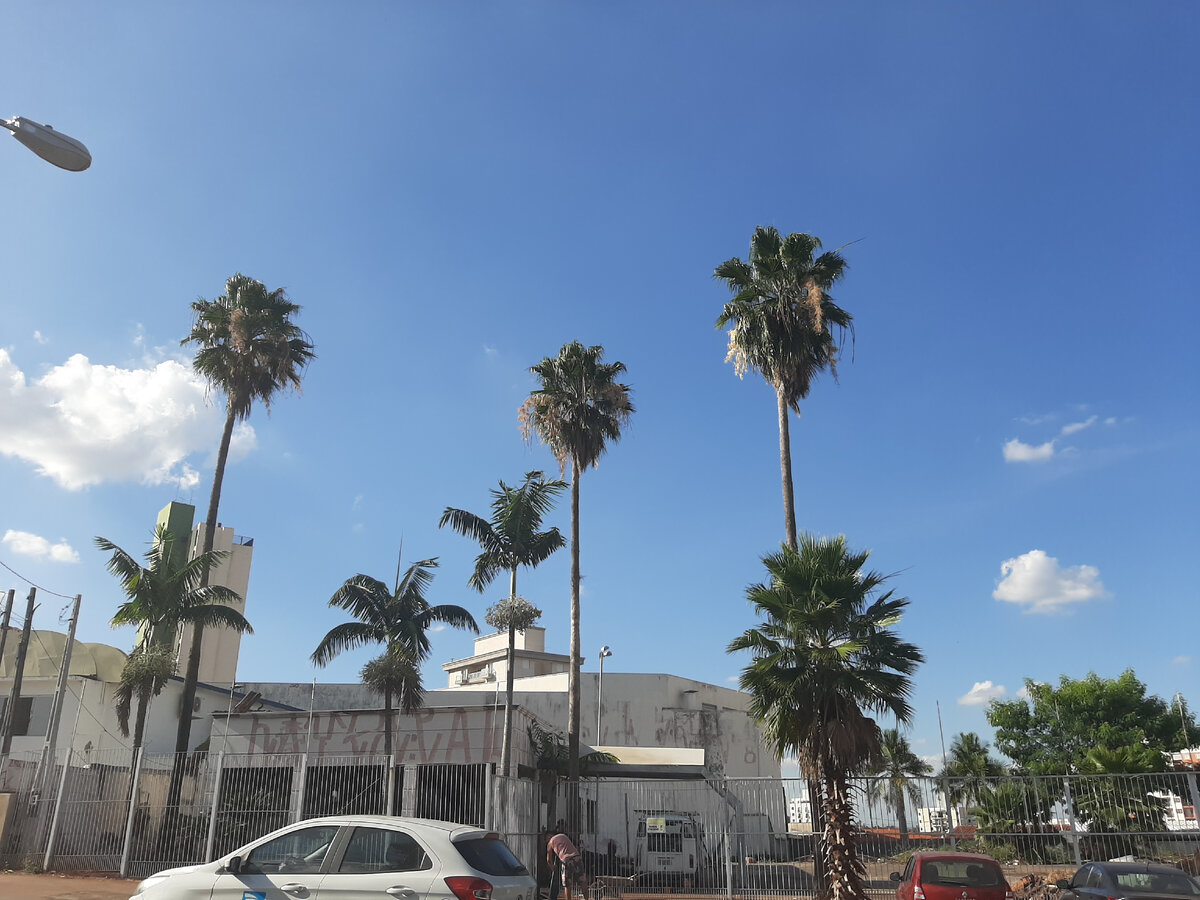 Просто бразильская улица. Фото мое.