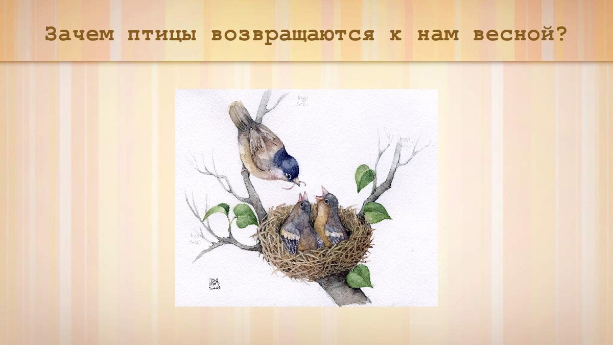 Один из слайдов моей презентации