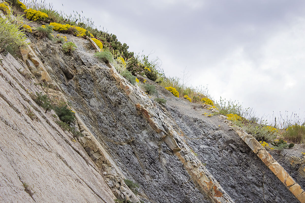 бурачок любит скалы...