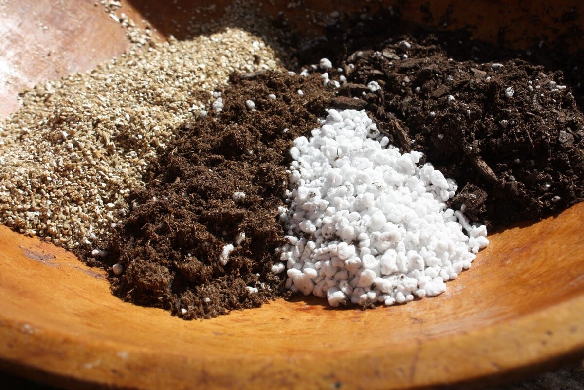 Грунт для авокадо