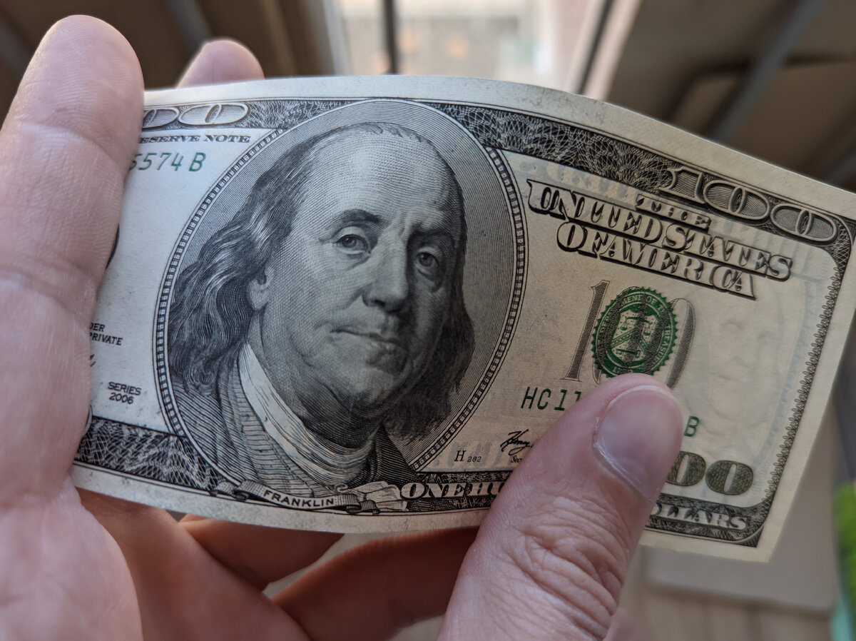 Вечно зеленые