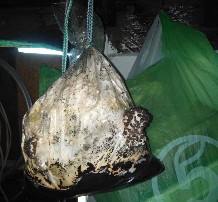 Вылупились😁